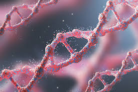How genetic testing can help women with breast cancer avoid ...
