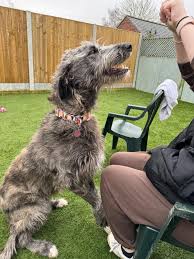 Update…. Sadly the trolls are trying to rule this post but are just showing  themselves to be the bullies they are For anyone who is genuinely  interested in Polly and is happy