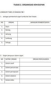 Sistem koordinasi pada manusia terdiri atas sistem saraf dan sistem hormon. Tolong Di Bantu Kakak Soalnya Ada Di Lampiran Brainly Co Id