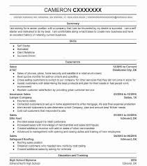 functional sales resume resume format
