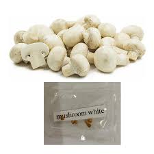 Consider buying a kit if it's your first time growing mushrooms. Lazadachoice White Button Mushroom Plant Seeds Lazada Ph