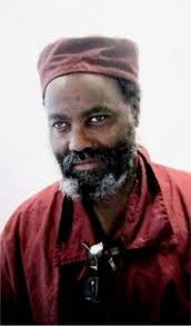 Book Review: The Solitary Fox and The Death/Lifetime Mumia Abu-Jamal