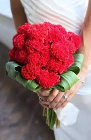 Celosia Bouquetmaggio Sposa2016 Matrimonio Matrimoniopartystyle Location Trovaloc Affordable Wedding Flowers Pastel Wedding Flowers Fall Wedding Bouquets