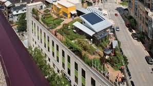 Madison Children S Museum Rooftop View Can You Spot The Chickens Rooftop Garden Roof Garden Childrens Museum