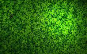 Patrick's day, which falls during the christian season of lent, irish families would traditionally attend church in the morning and celebrate in the. Hd Wallpaper St Patrick S Day St Patricks Day Ireland Shamrock Wallpaper Flare