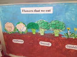 Maybe you would like to learn more about one of these? We Made Posters To Show The Parts Of A Plant We Can Eat Roots Leaves And Flowers This One Shows The Poster Of The Flow Farm School Parts Of A Plant