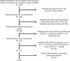 increased phosphaturia accelerates the decline in renal