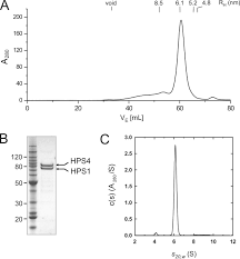 La bloc tv 6 months ago download. Assembly Of The Biogenesis Of Lysosome Related Organelles Complex 3 Bloc 3 And Its Interaction With Rab9 Journal Of Biological Chemistry