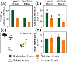 Check spelling or type a new query. Effects Of Disturbances By Forest Elephants On Diversity Of Trees And Insects In Tropical Rainforests On Mount Cameroon Scientific Reports