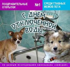 И до сентября им ярко светит! Sostavlen Rejting Samyh Populyarnyh I Dobryh Memov Etogo Leta Novosti Na Film Pro