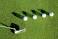 Image of How do you play 4 Ball better ball Stableford?