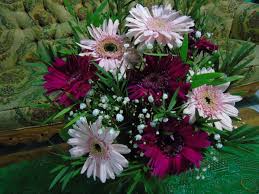Jenis ini memiliki ukuran yang lebih besar dari ketiga jenis sebelumya. Recommended Ini Dia Bunga Hias Gerbera Yang Cantik Dan Punya Makna Bagus Nursaidr