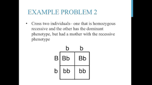 The punnett square worksheet is a great teaching tool for genetics. Punnett Square Practice Problems Simple Youtube