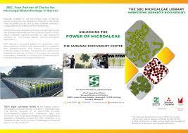 Please check back from time to time for updates on job openings. Sarawak Biodiversity Centre