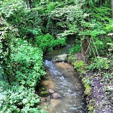 Balade Le Long Des Gorges De L Areuse In 2020 Neuchatel Garden Bridge Boudry