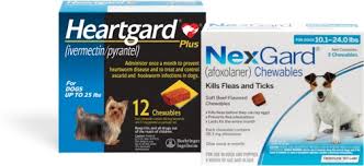 We did not find results for: Protect Your Dog With Heartgard The 1 Choice Of Vets