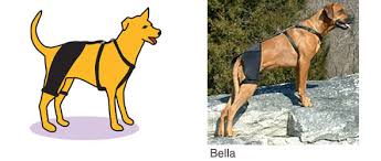 The hips are one of the bodies main hinge points, allowing you to twist and control leg movement. Dog Hip Brace Reviews