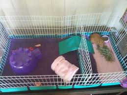 The guinea pig habitat is ideal for up to 2 guinea pigs. Midwest Guinea Pig Cage Plus Walmart Com Walmart Com