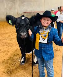 Profile for Pursuit of Purple