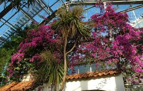 See all things to do. Das Mediterranhaus Botanischer Garten Kiel
