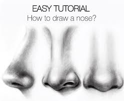 100 Tutorials To Teach You How To Draw Nose Drawing Realistic Drawings Drawing Tutorial Easy