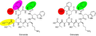 Image result for Octreotide