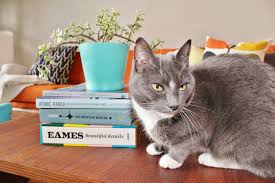 Only 1 available and it's in 1 person's cart. These Mid Century Modern Books Will Look Amazing On Your Coffee Table