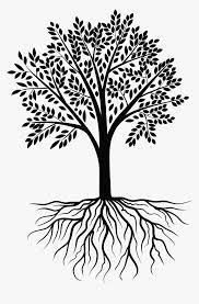 Transparent background tree with roots silhouette. Tree Roots Vector Png Transparent Png Transparent Png Image Pngitem
