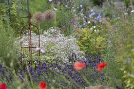 Ein Blumenmeer In Unserem Garten Garten Blumen Gartentore