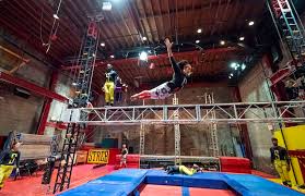 Image result for Streblochaete