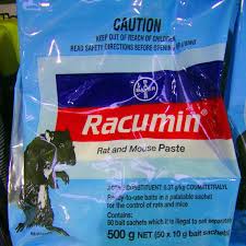 Royse city has 50 pest control company professionals that can help you with your pest control services job. Increased Rat And Mice Infestation In Redbank Plains The Chronicle