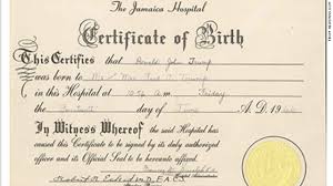 A genuinely fake looking document! Birth Certificate Jokes