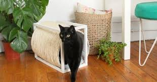 Epingle Sur Maisons Enclos Pour Chats