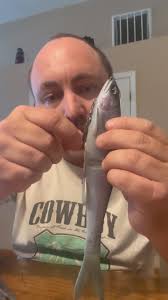 Here’s a lengthy video