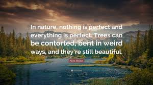 You should never rely on only one source, but rather rely on those you believe in the most. Alice Walker Quote In Nature Nothing Is Perfect And Everything Is Perfect Trees Can Be Contorted Bent In Weird Ways And They Re Still B