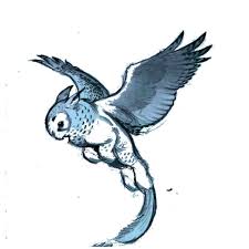 Owl Griffin Creature Drawings Animal Drawings Fantasy Creatures
