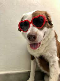 Amèlie & Cleo 🌈 (@WildflowersTale)