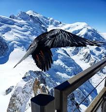 Mont Blanc Is The Monarch Of Mountains They Crown D Him Long Ago On A Throne Of Rocks In A Robe Of Clouds With A Diadem Of Snow Mountains Monarch Instagram