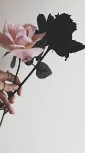 Pin By Moon On Wallpaper Iphone Wallpaper Vintage Black Wallpaper Pink Wallpaper Iphone