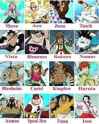 Woww They Are Commando Of Shirohige Pirates Who The Favourite Marco Ace Izou Anime Personagens De Anime Barba Branca One Piece
