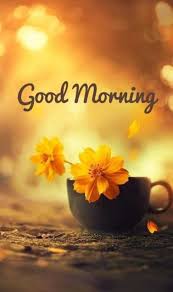 Your regularly scheduled happiness will resume again on friday. Beautiful Good Morning Images Positive Hadasse