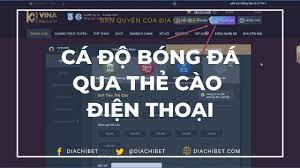 Cá cược bằng thẻ cào điện thoại | Hướng dẫn từ A-Z - Diachibet