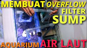Untuk membuat aquarium, kamu tak hanya perlu menyiapkan wadah kaca berisi air. Cara Membuat Overflow Filter Sump Aquarium Air Laut Sederhana Youtube