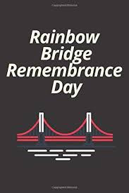 25:18 スプリのスマホアプリチャンネル 40 724 просмотра. Rainbow Bridge Remembrance Day Note Book Sketchbook Glossy Cover Finish A Unique Gift 6 X 9 Note Book Happy 28th Of August Gift For Friends Choice For Rainbow Bridge Remembrance