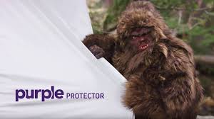 Purple Can Your Mattress Protector Stand Up To Sasquatch Facebook