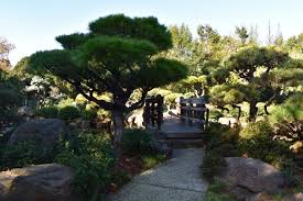 The number of persons attending cannot exceed 50 and there is no alcohol, food, or beverages allowed. Japanese Garden Hayward California Steemit