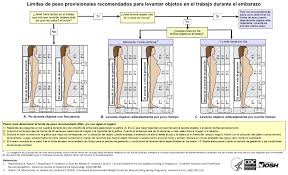 Physical Demands Lifting Standing Bending Reproductive Health Niosh Cdc