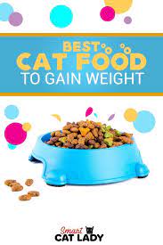 Best Cat Food To Gain Weight With High Calories Best Cat Food Cat Nutrition Food