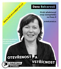 Ferjenčík na fóru označil tento podnět dva měsíce před volbami za mimořádně nešťastný. Pirati Na Slovensku