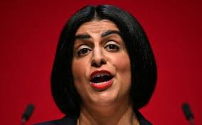 Tiger cubs destined for Syria found dehydrated and starving after being  left in a wooden crate for a week